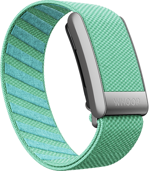 Aqua Mist SuperKnit Band