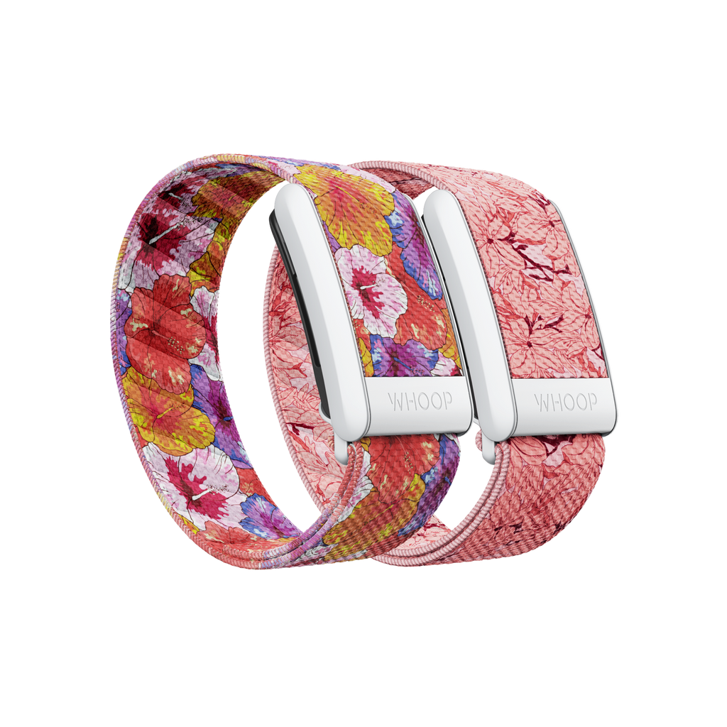 Bloom SuperKnit Band Pack