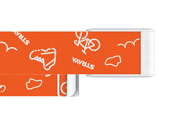 Strava SuperKnit Band