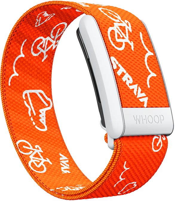 Strava SuperKnit Band