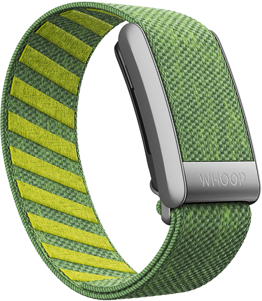 Ace Green SuperKnit Band