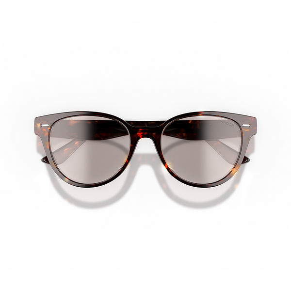 Catnap Tortoise Frames with All-Day Lenses