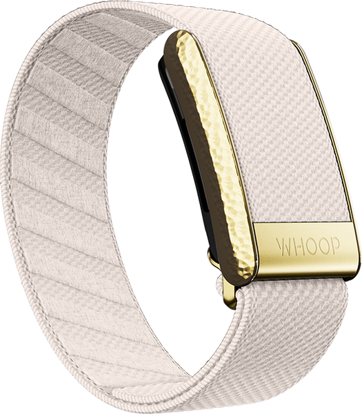 Champagne with Hammered Gold Luxe Band