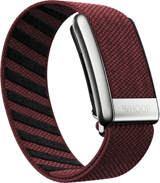 Ember with Platinum SuperKnit Luxe Band