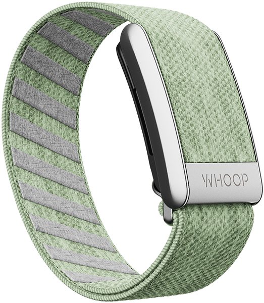 Eucalyptus SuperKnit Band