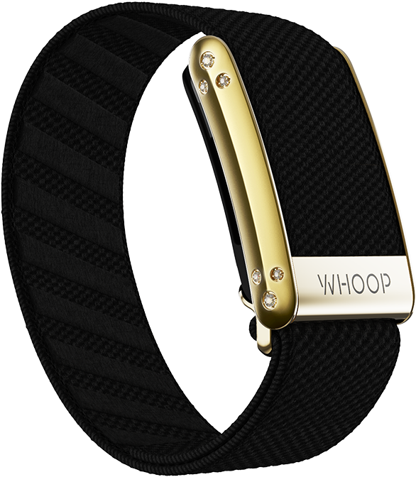 Onyx with Gold Crystal Luxe Band WHOOP Canada