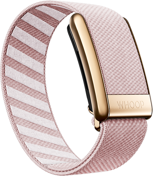 Nantucket with Rose Gold SuperKnit Luxe Band