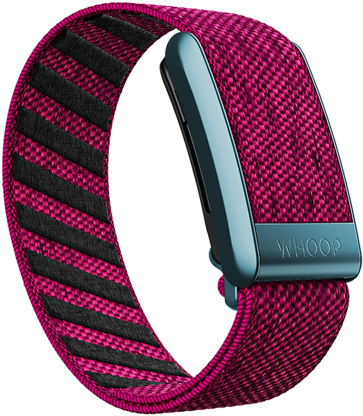 Miami Night SuperKnit Band