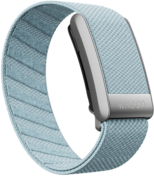 Fresh Blue SuperKnit Band