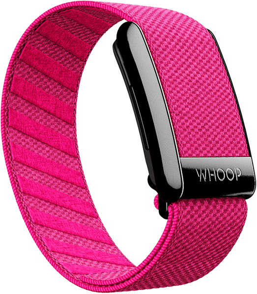 Podium Pink SuperKnit Band
