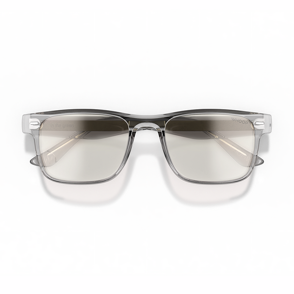 Remy Lucid Frames with All-Day Lenses