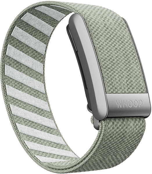 Green Tea SuperKnit Band
