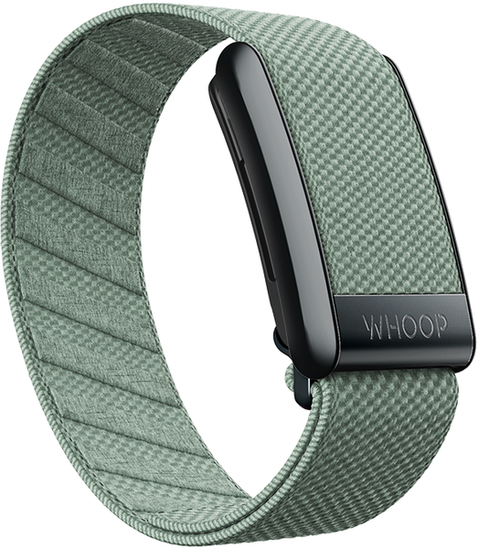 Sprout SuperKnit Band