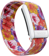 Hibiscus SuperKnit Band