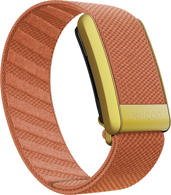 Thrive SuperKnit Band