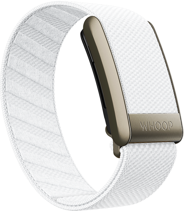 Ivory SuperKnit Band