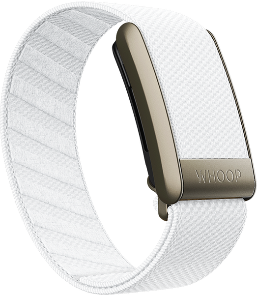 Ivory SuperKnit Band