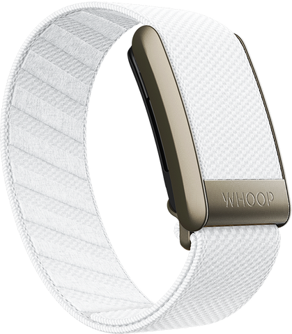 Ivory SuperKnit Band