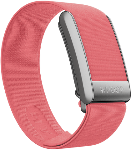 Frisbee Hydroknit Band