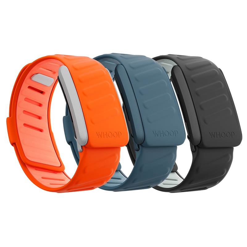 SportFlex Band Pack