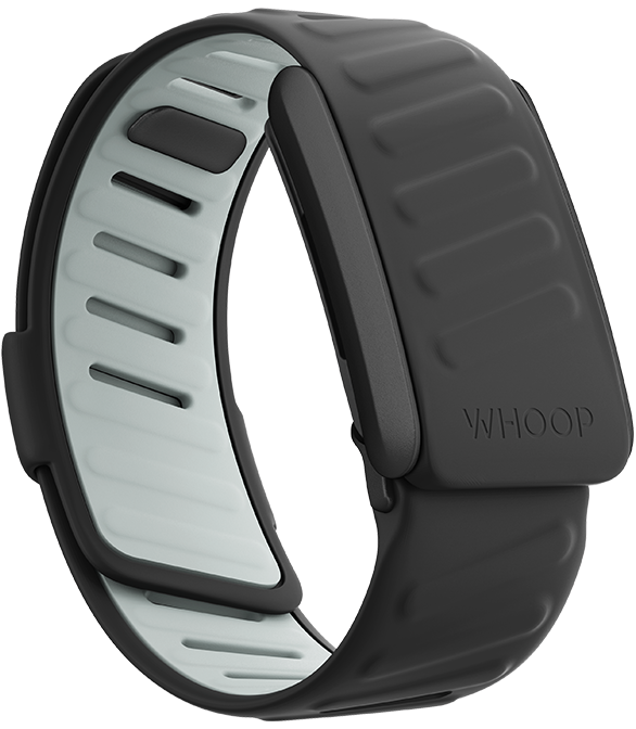 Force SportFlex Band