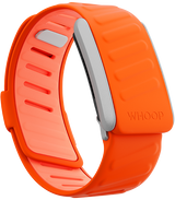 Surge SportFlex Band