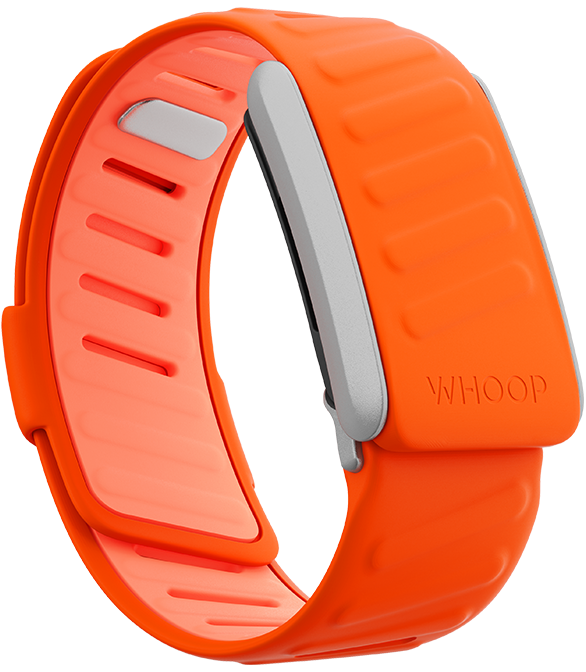 Surge SportFlex Band