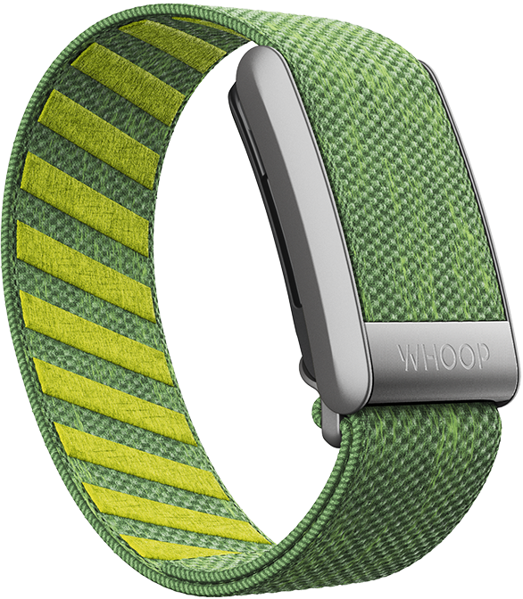 Ace Green SuperKnit Band