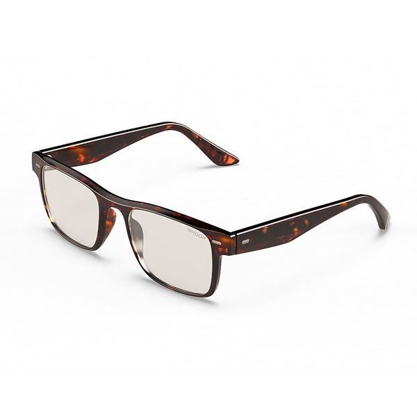 Remy Tortoise Frames with All-Day Lenses
