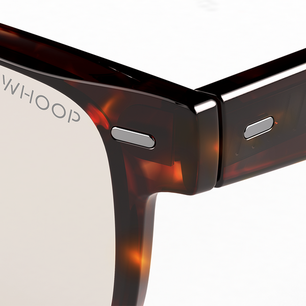 Remy Tortoise Frames with All-Day Lenses