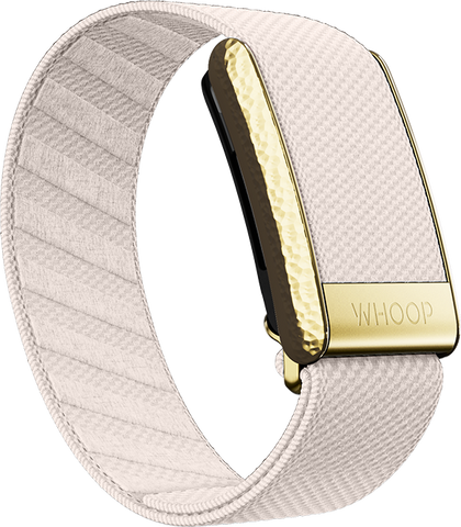 Champagne with Hammered Gold Luxe Band