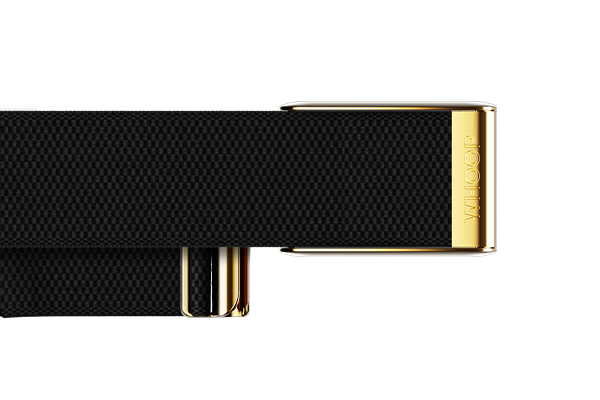 Onyx with Gold SuperKnit Luxe Band