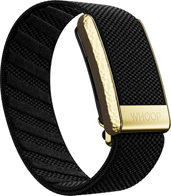 Onyx with Hammered Gold Luxe Band