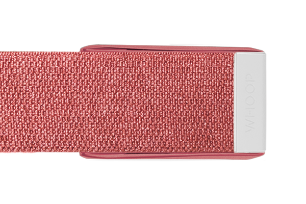 ProKnit Band (with Clasp) 3.0