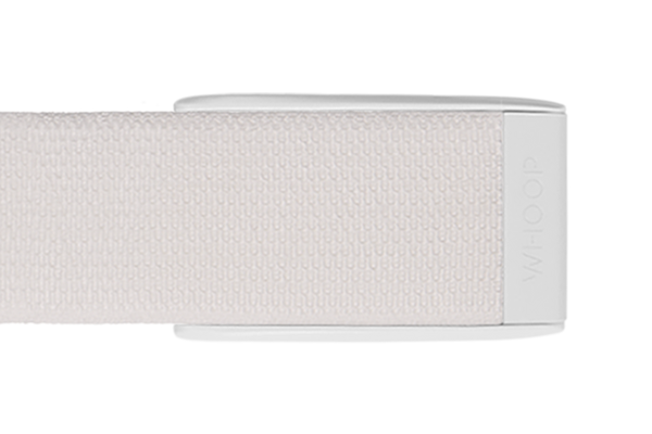ProKnit Band (with Clasp) 3.0