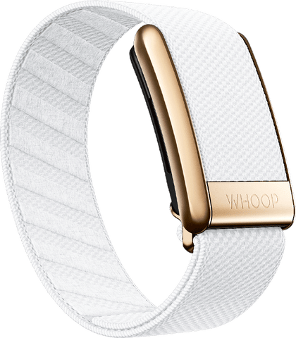 Arctic with Rose Gold SuperKnit Luxe Band