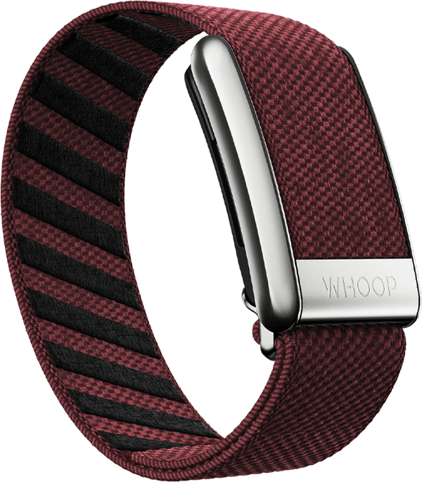 Ember with Platinum SuperKnit Luxe Band