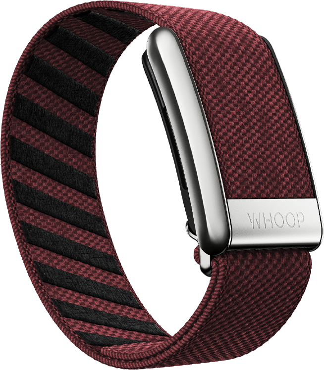 Ember with Platinum SuperKnit Luxe Band