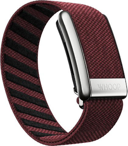 Ember with Platinum SuperKnit Luxe Band