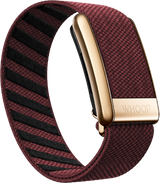 Ember with Rose Gold SuperKnit Luxe Band