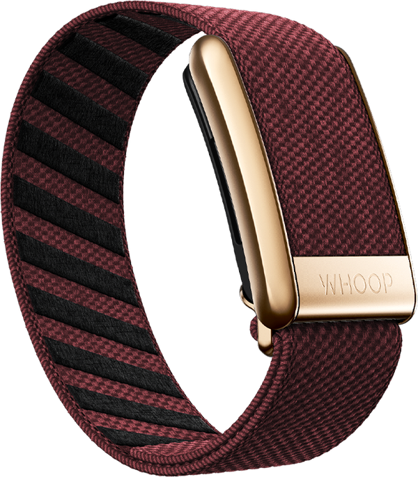 Ember with Rose Gold SuperKnit Luxe Band