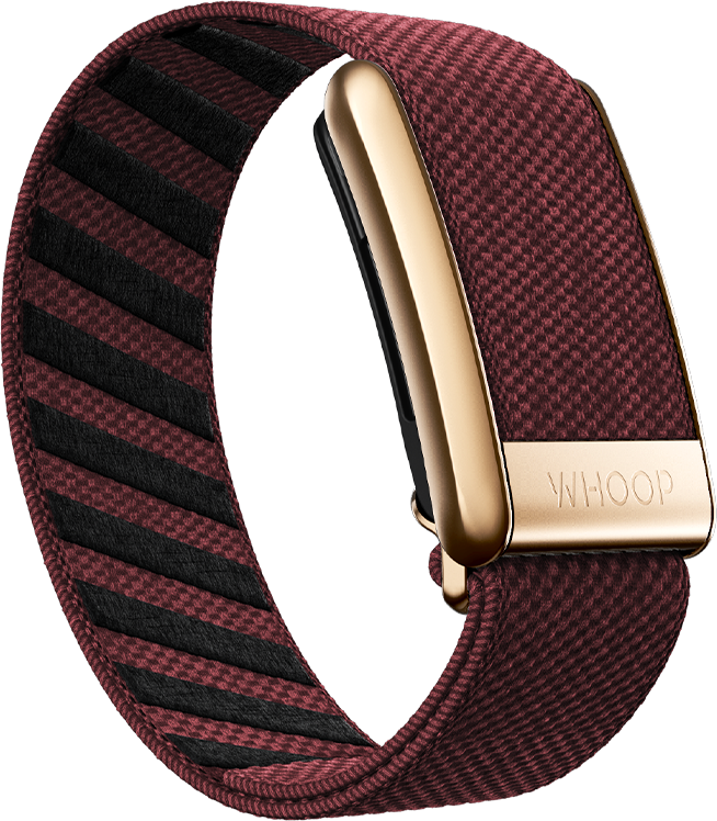 Ember with Rose Gold SuperKnit Luxe Band