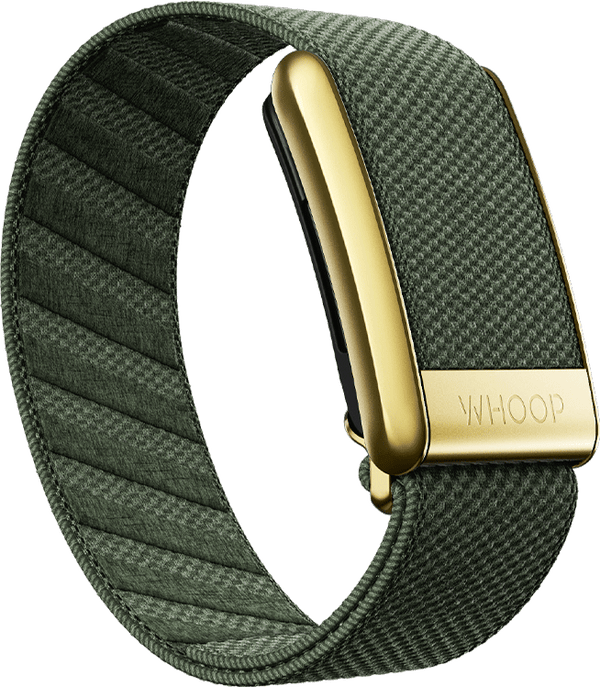 Ivy with Gold SuperKnit Luxe Band