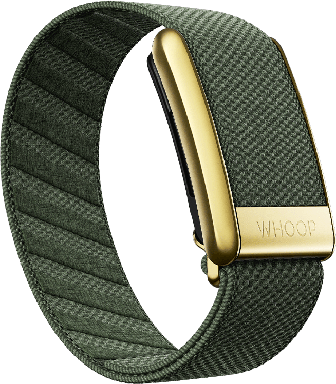 Ivy with Gold SuperKnit Luxe Band