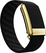 Onyx with Gold SuperKnit Luxe Band