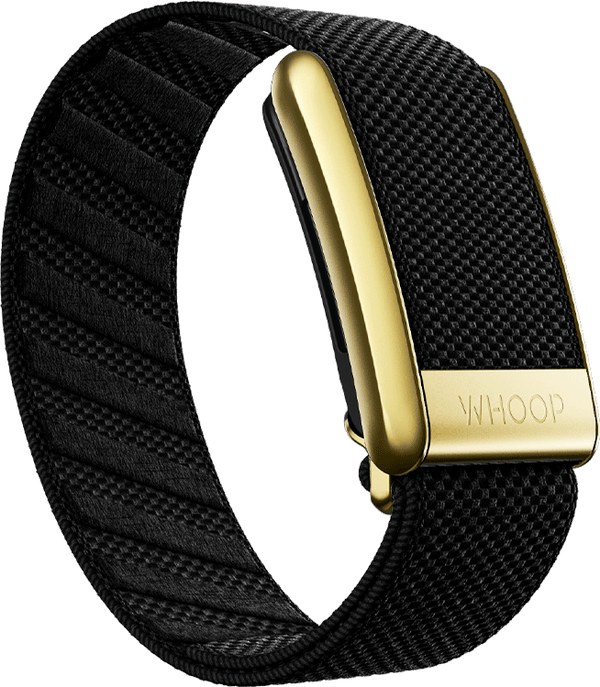 Onyx with Gold SuperKnit Luxe Band