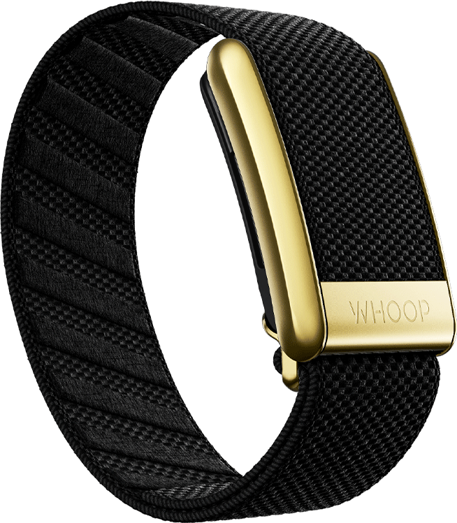 Onyx with Gold SuperKnit Luxe Band