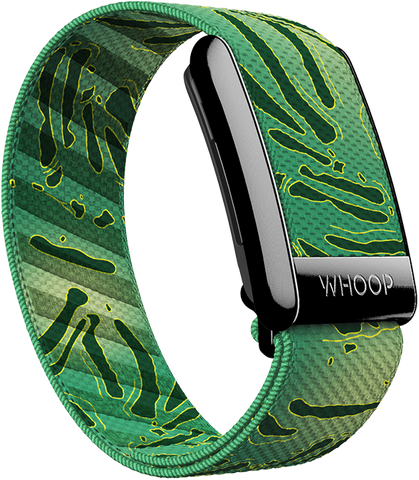 Caddy Superknit Band