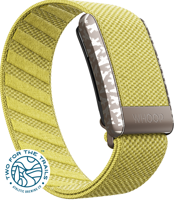 Athletic Brewing Co Citra SuperKnit Band