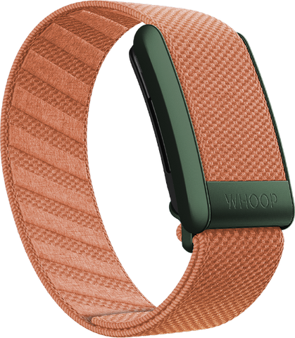 Autumn SuperKnit Band